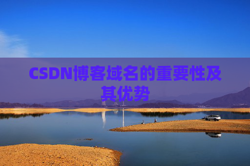 CSDN博客域名的重要性及其优势
